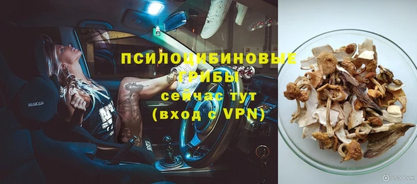 твердый Корсаков