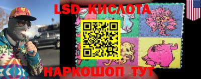 ГАЛЛЮЦИНОГЕННЫЕ ГРИБЫ Гатчина