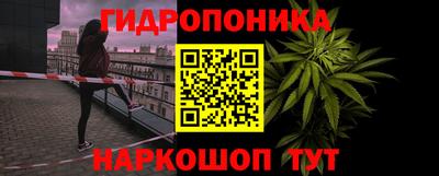 стаф Гагарин