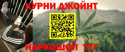 тгк Гай
