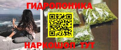 ГАЛЛЮЦИНОГЕННЫЕ ГРИБЫ Гатчина