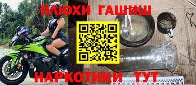 тгк Гай